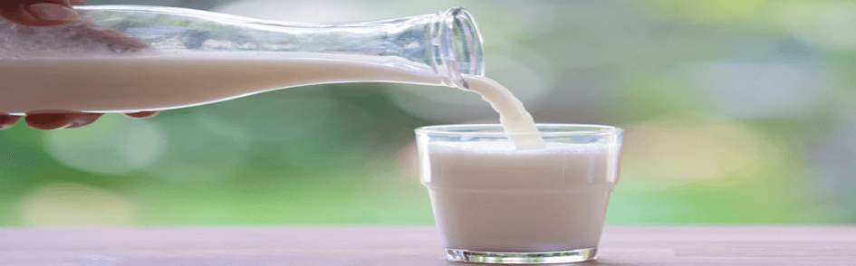 Süt - Serotonin içeren besinler 10